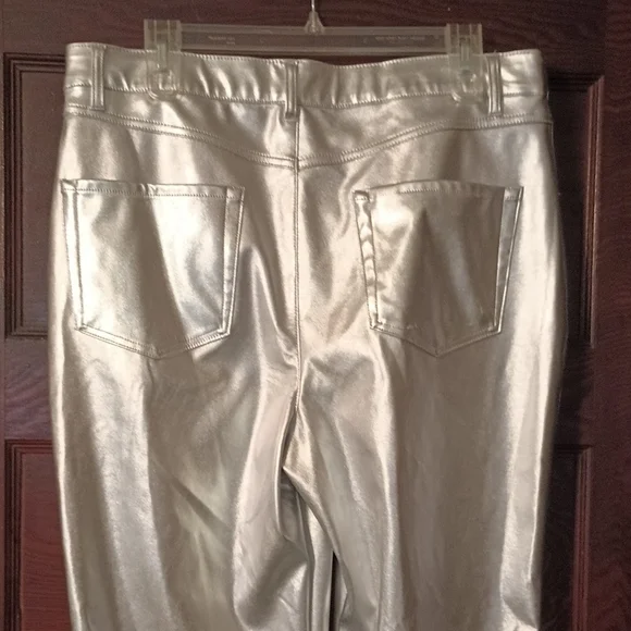 Shiny Silver Pants - Picture 3 of 9